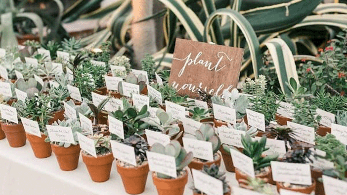 10 Fun And Eco-Friendly Wedding Favors Ideas For A Sustainable Celebration