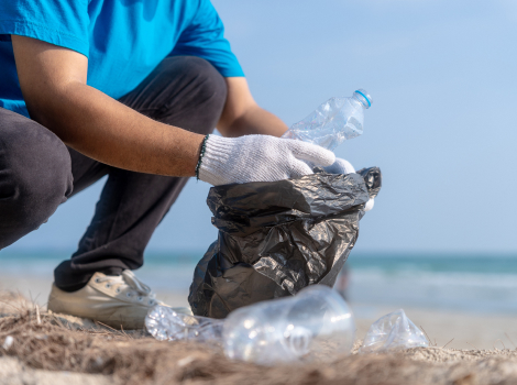 Ecological Practices at Velas Vallarta