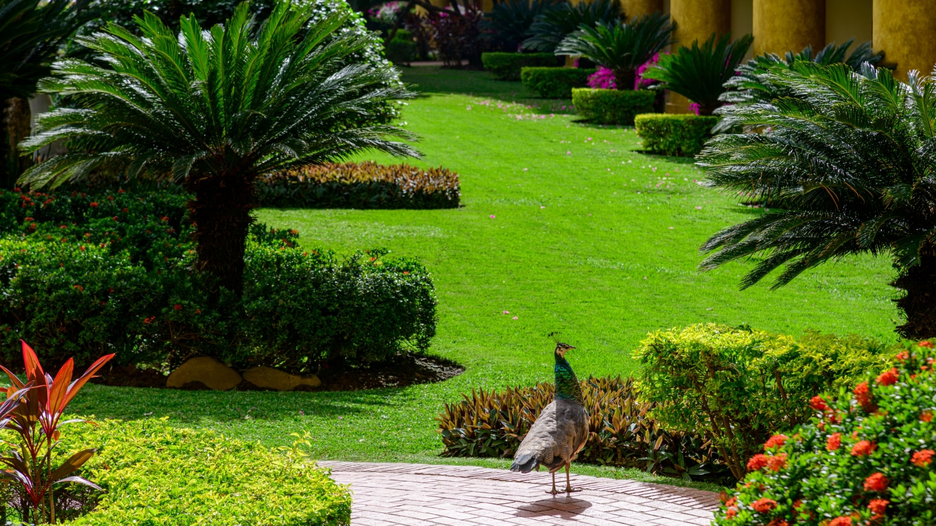 Velas Vallarta Green Hotel 